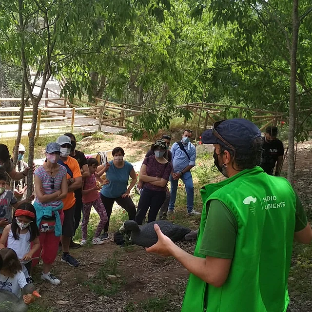 juegos